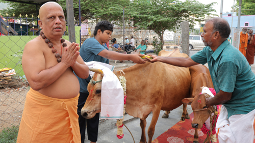 Donate to Cow